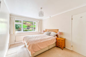 Photo 13- click for photo gallery